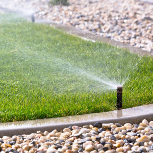 Riego automático inteligente